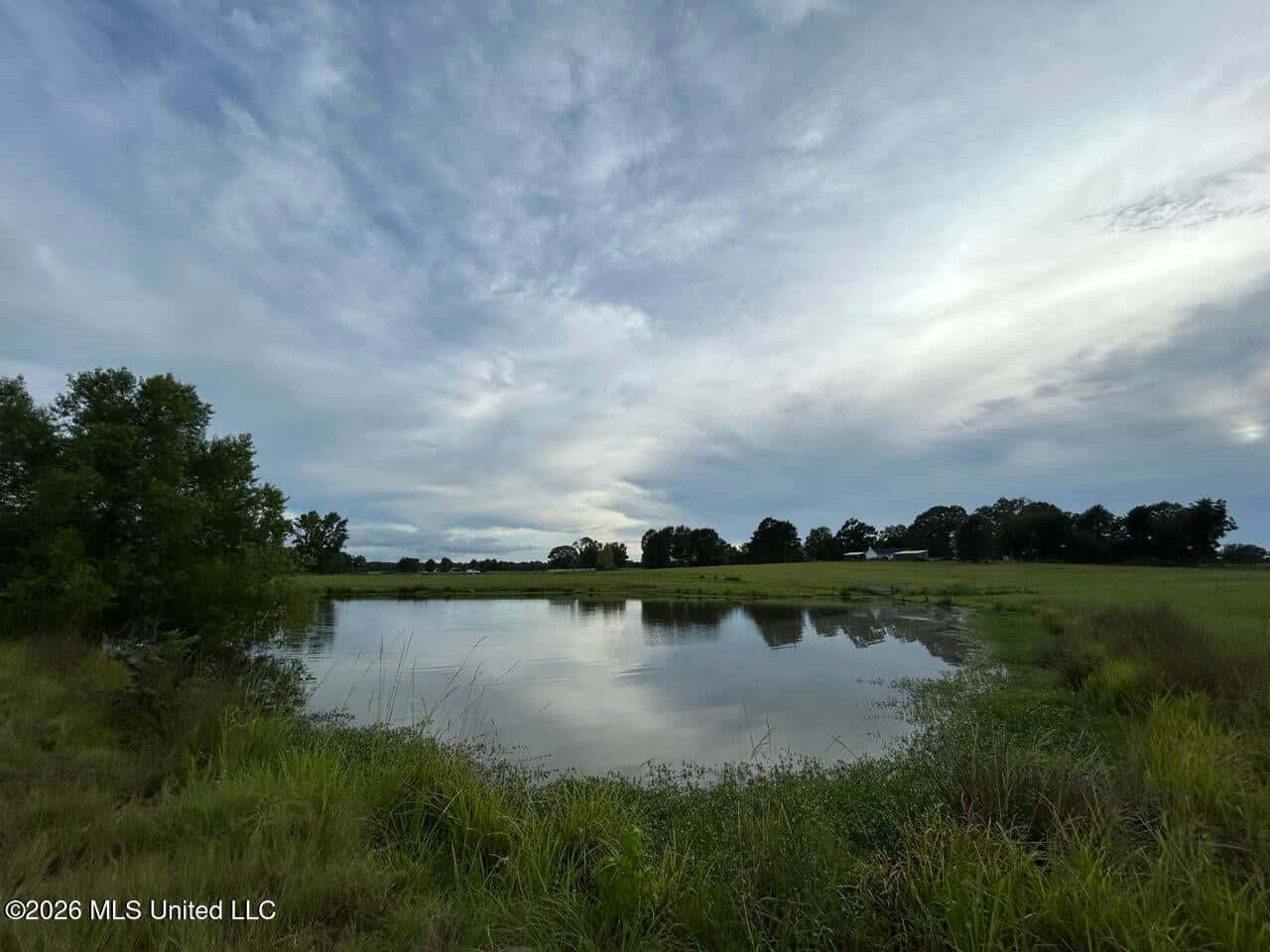 25± Acre Farm & Homesite in Centreville, MS