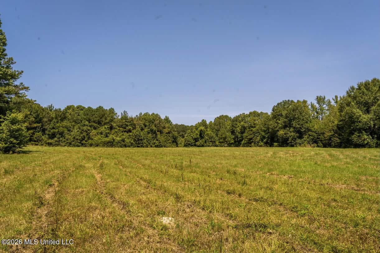 52.25± Acres in Copiah County, MS Near Hazlehurst