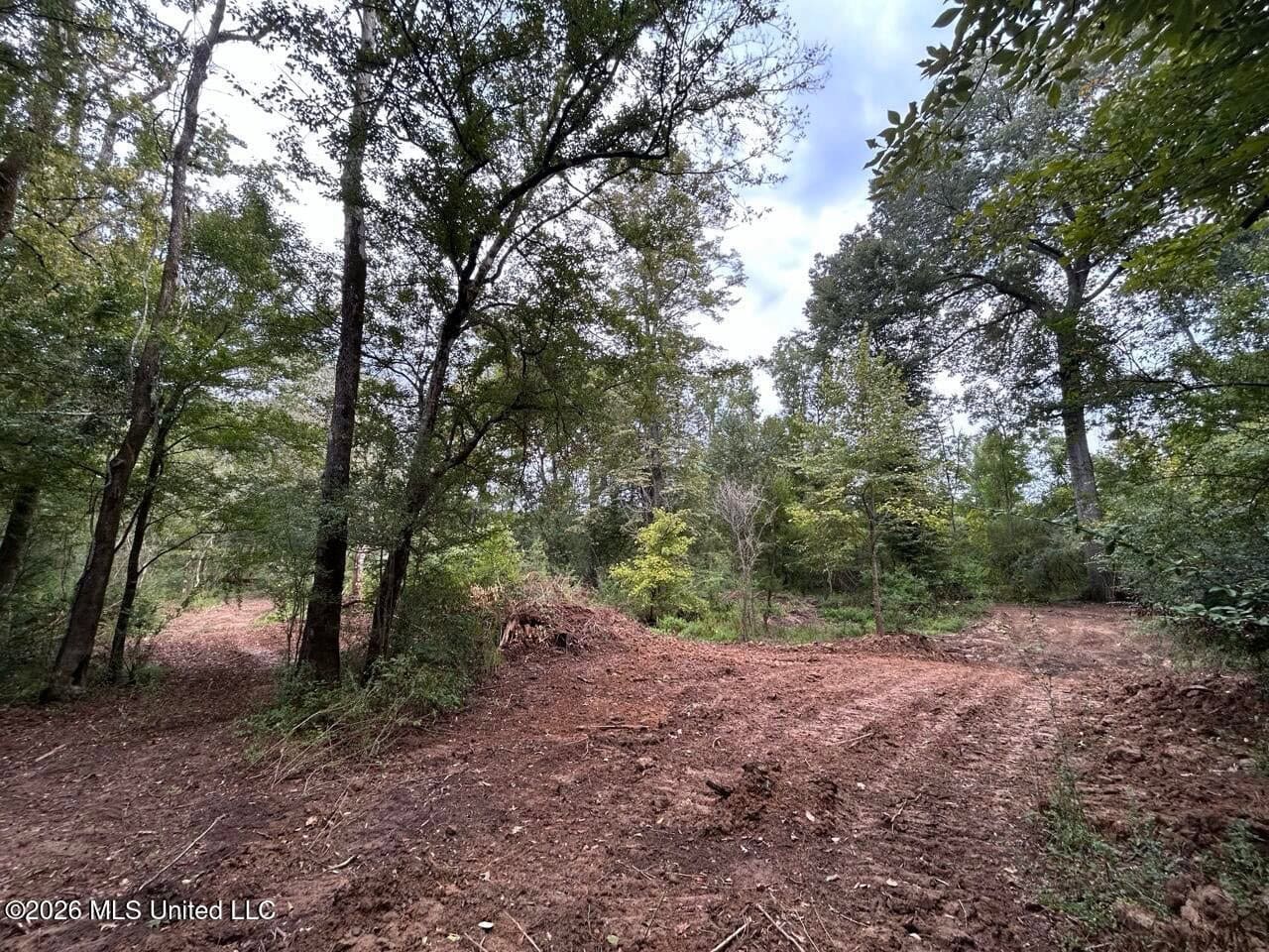 82± Acre Hunting Property in Wilkinson County, MS