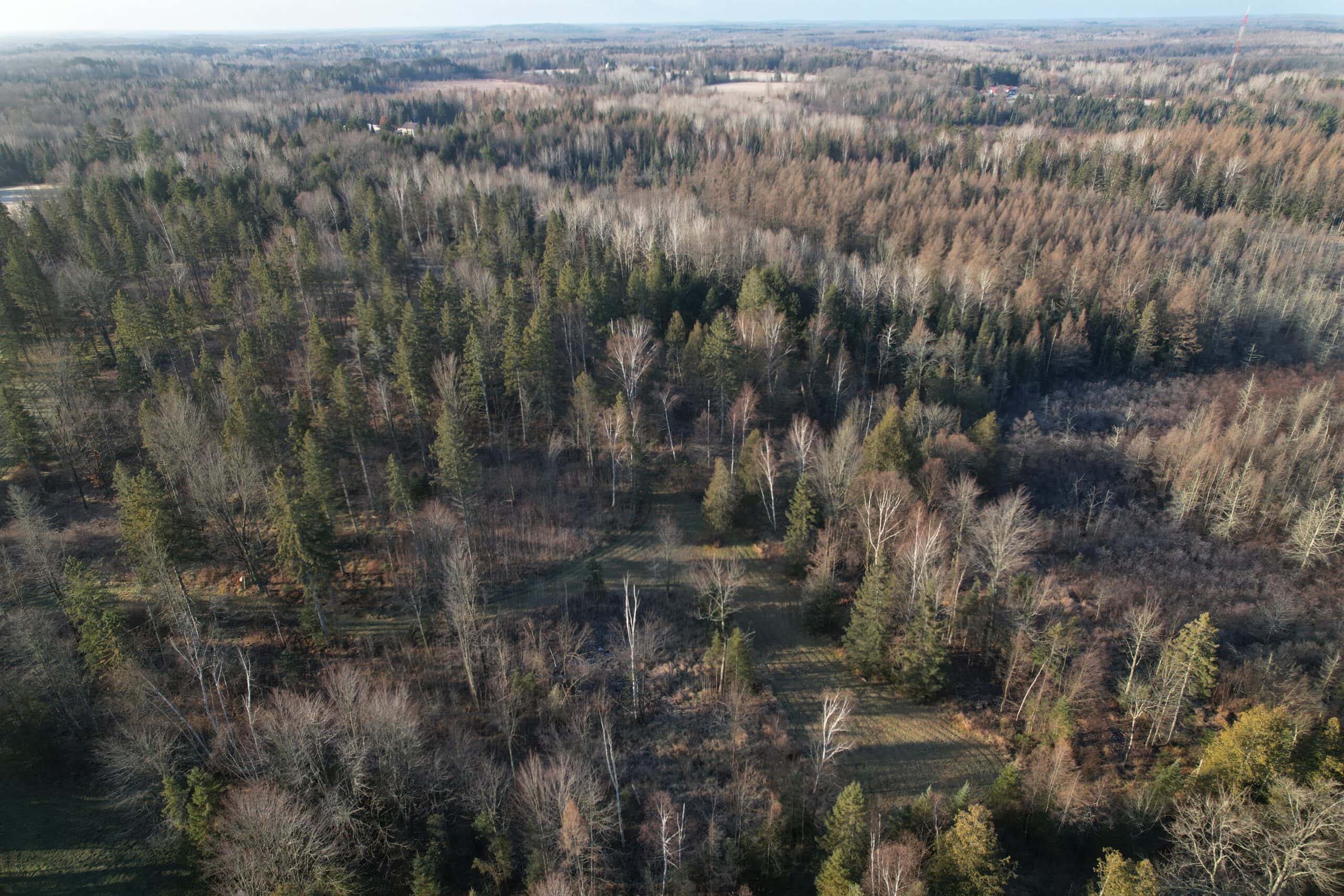 80± Acre Hunting Retreat for Sale in Butternut, WI