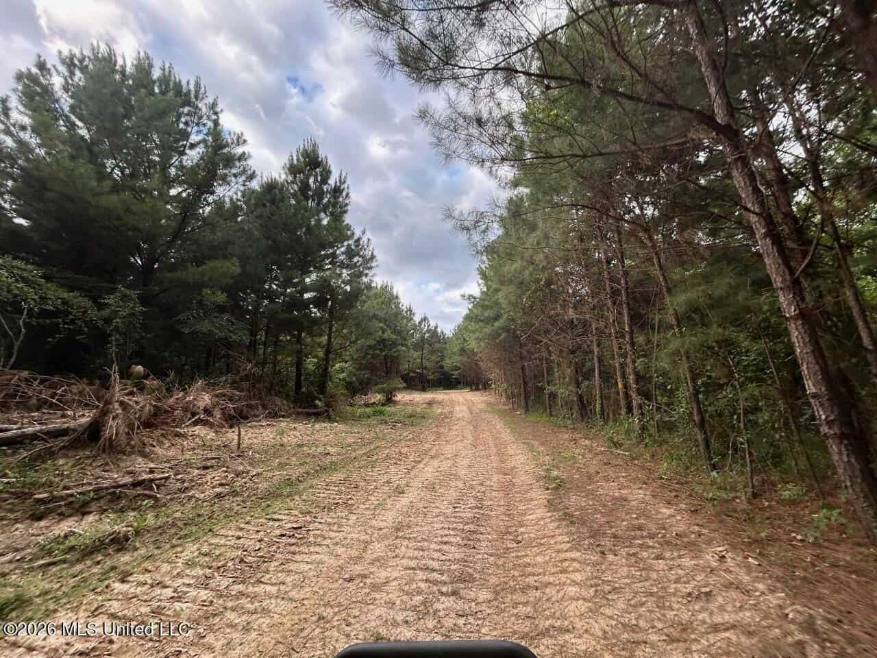 82± Acre Hunting Tract in Meadville, MS