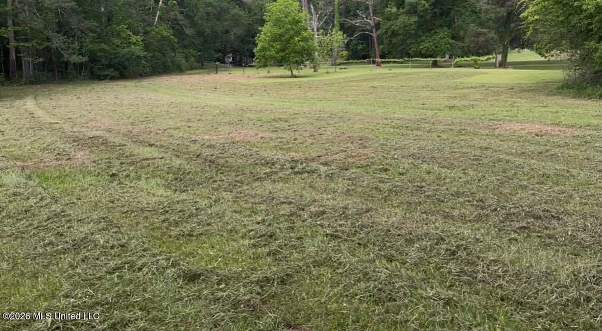 150 Acres for Sale in Magnolia MS on Tangipahoa River