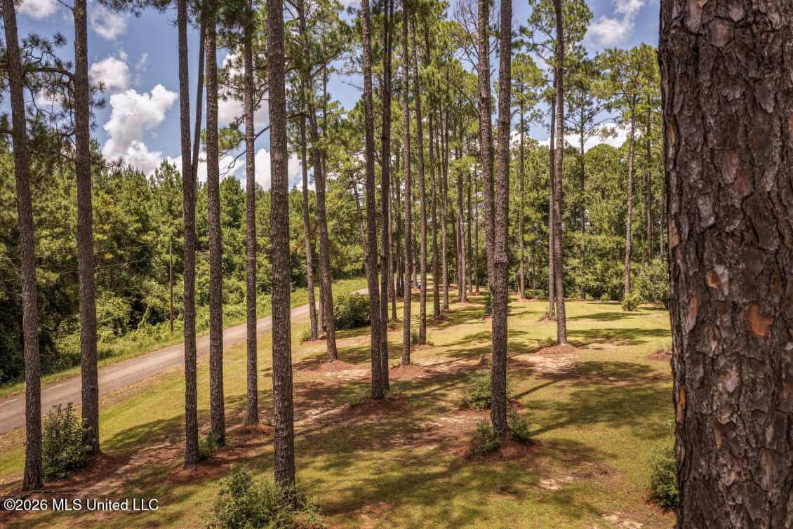 20 Acres for Sale Magnolia MS with Barn & Mature Timber