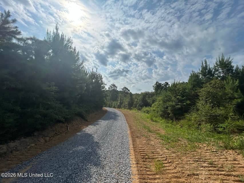 90± Acre Hunting Tract for Sale in Meadville, MS