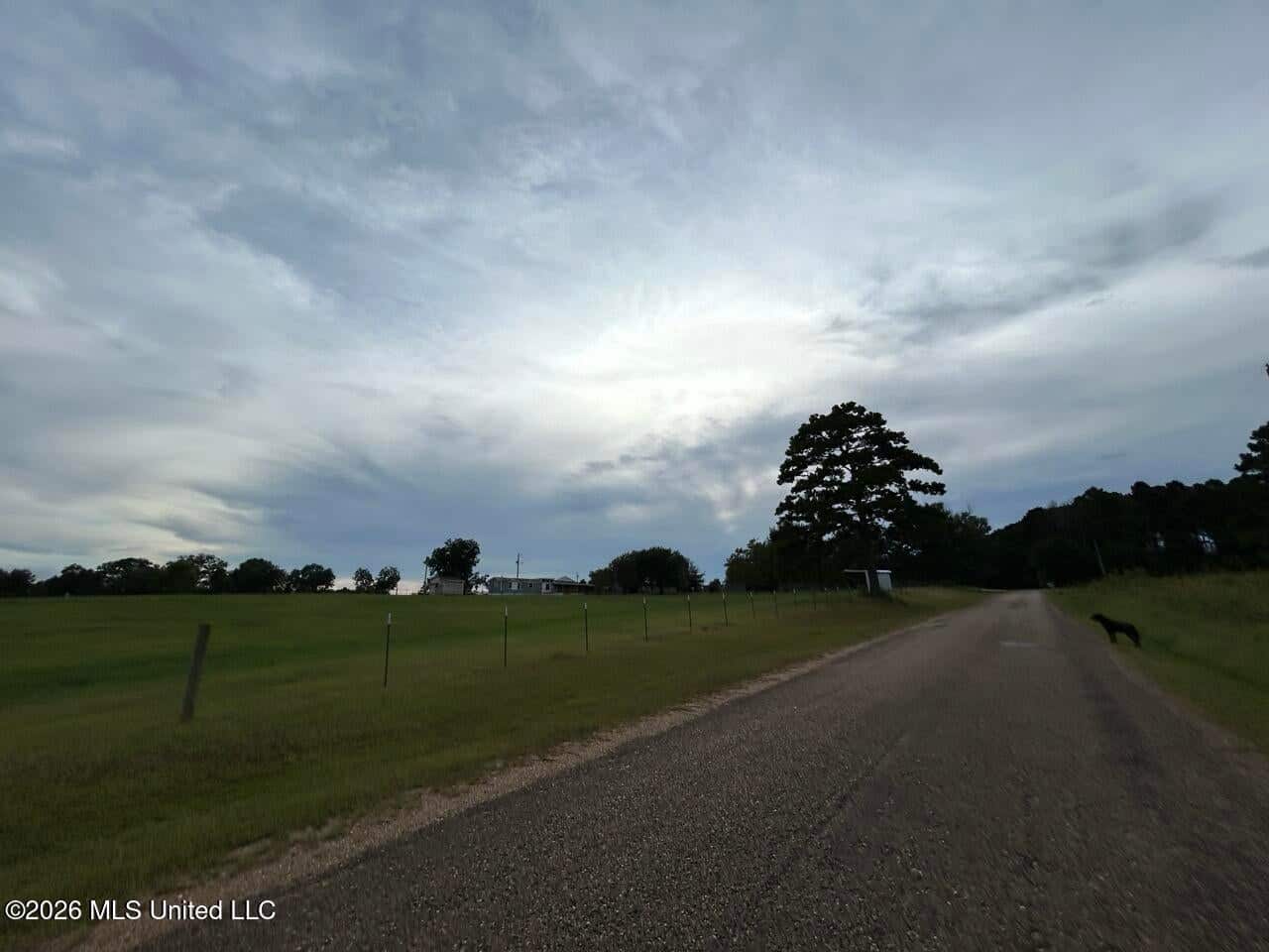 25± Acre Farm & Homesite in Centreville, MS