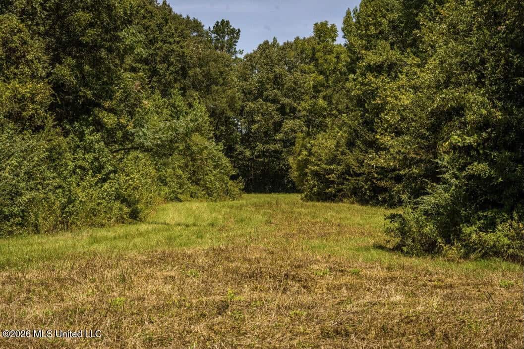 52.25± Acres in Copiah County, MS Near Hazlehurst