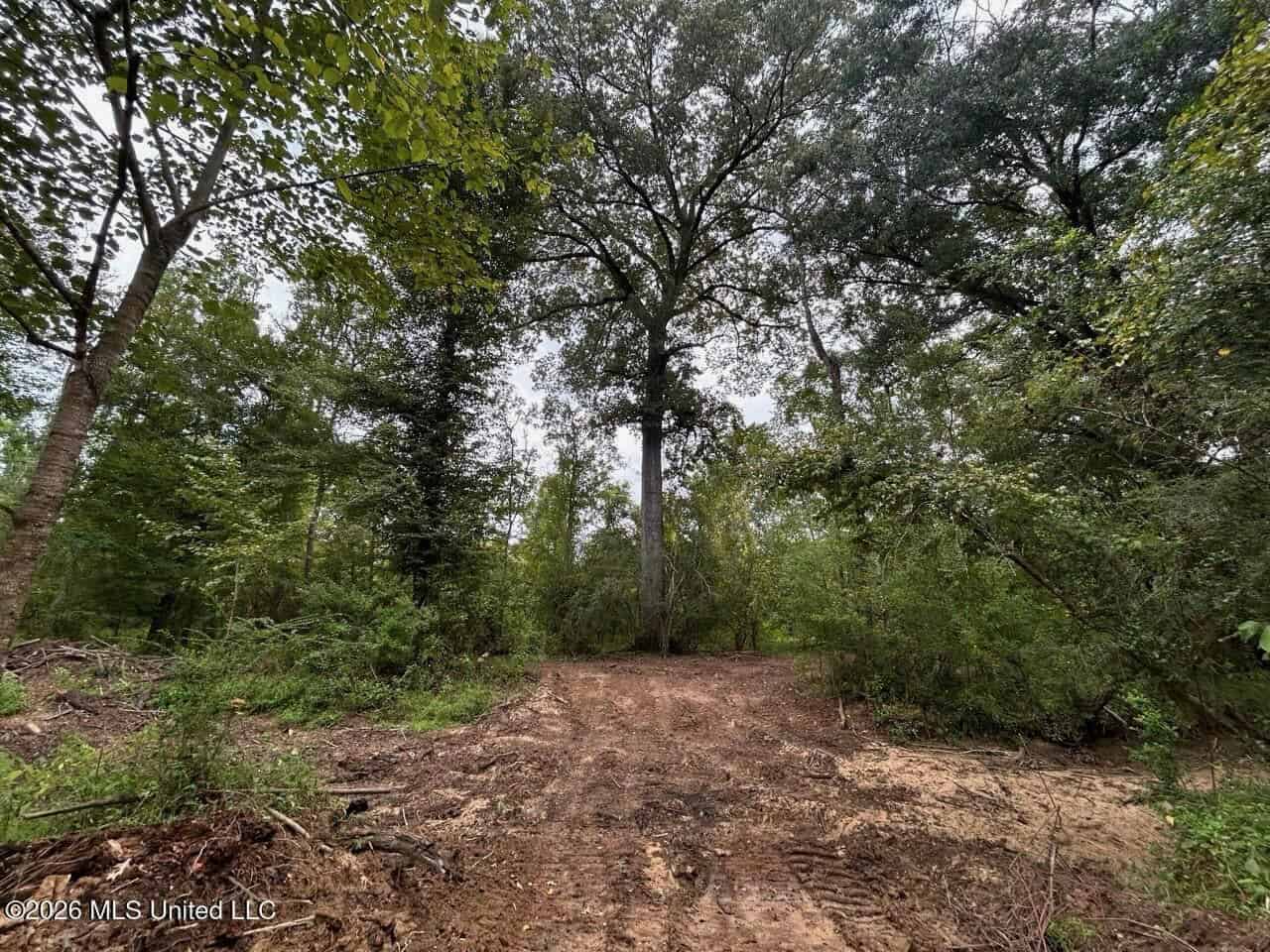 82± Acre Hunting Property in Wilkinson County, MS