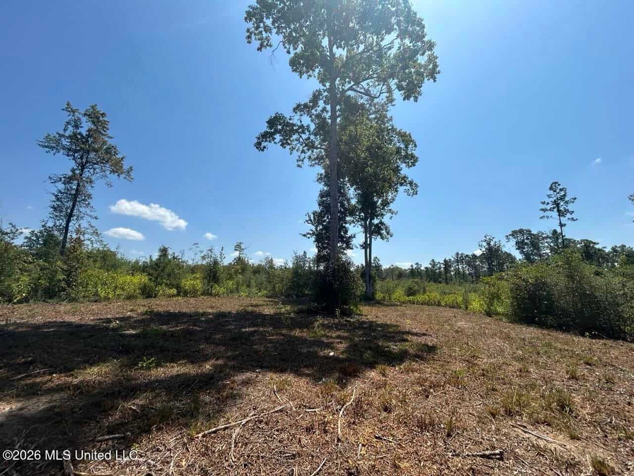 147± Acre Hunting Property in Plainview, LA