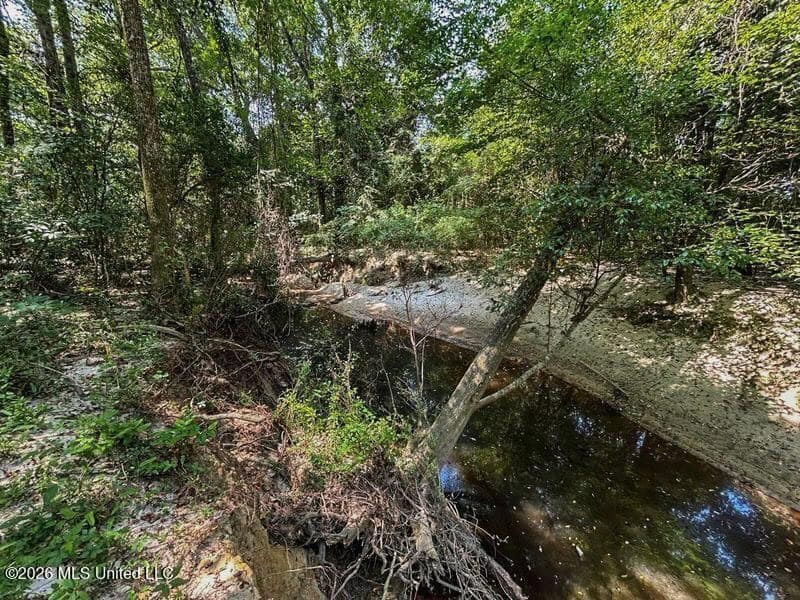 85± Acre Luxury Estate in Poplarville, MS