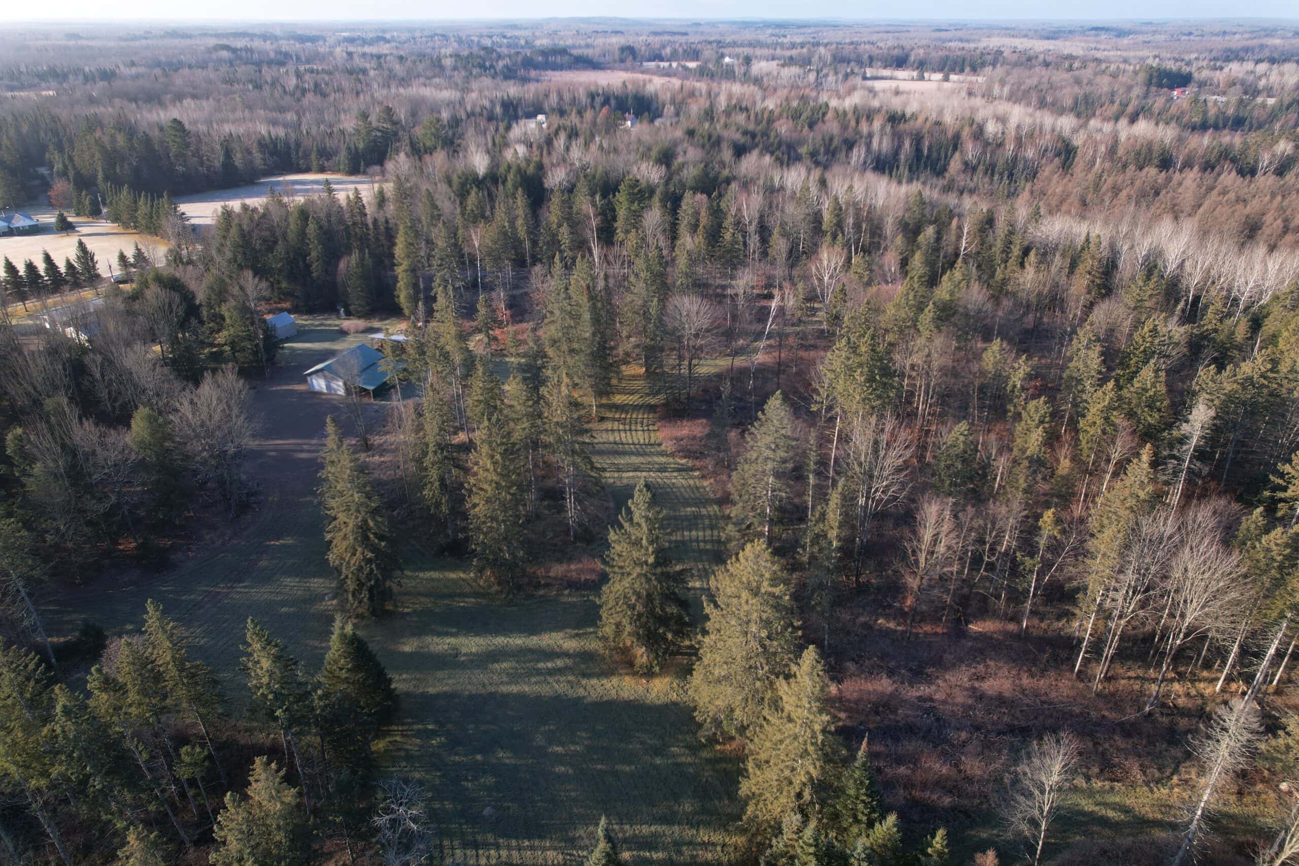 80± Acre Hunting Retreat for Sale in Butternut, WI
