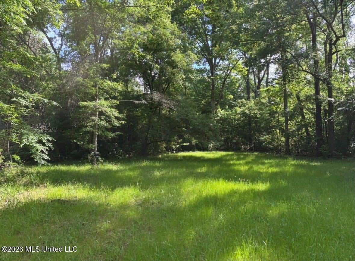 150 Acres for Sale in Magnolia MS on Tangipahoa River