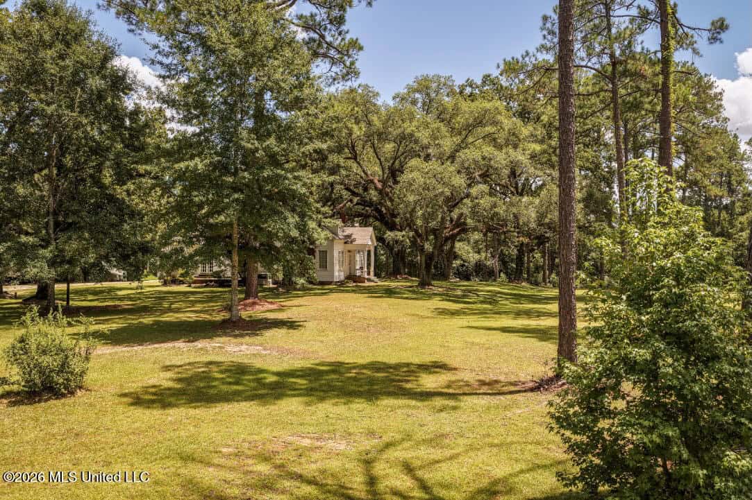 20 Acres for Sale Magnolia MS with Barn & Mature Timber