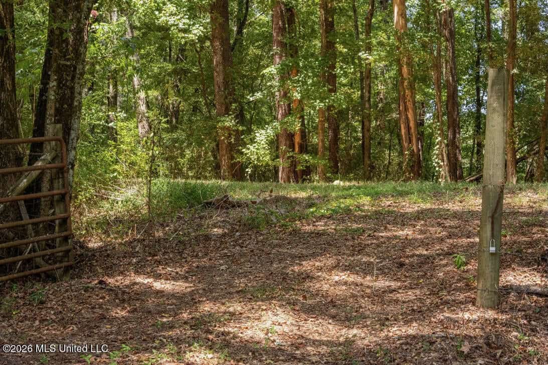 52.25± Acres in Copiah County, MS Near Hazlehurst