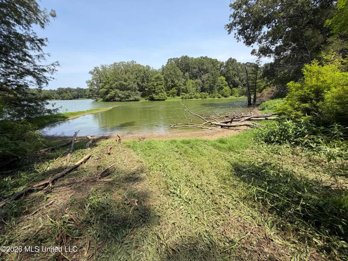 81-Acre Timber Property on 20-Acre Lake in Vaughan, MS