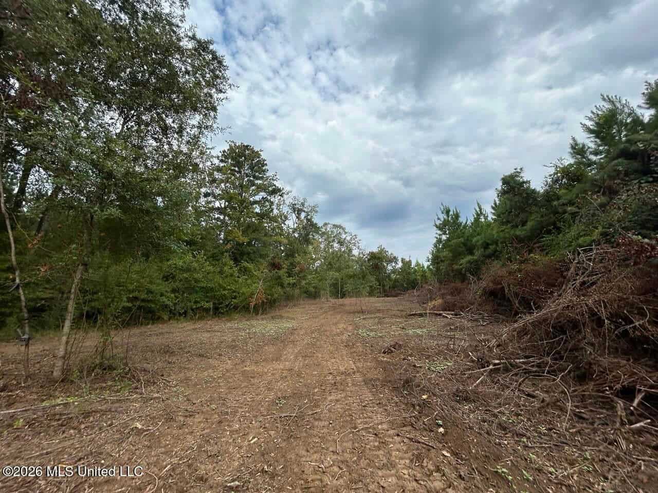 82± Acre Hunting Property in Wilkinson County, MS