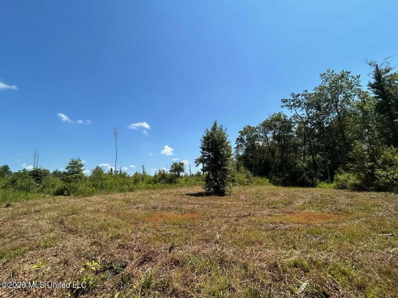 147± Acre Hunting Property in Plainview, LA