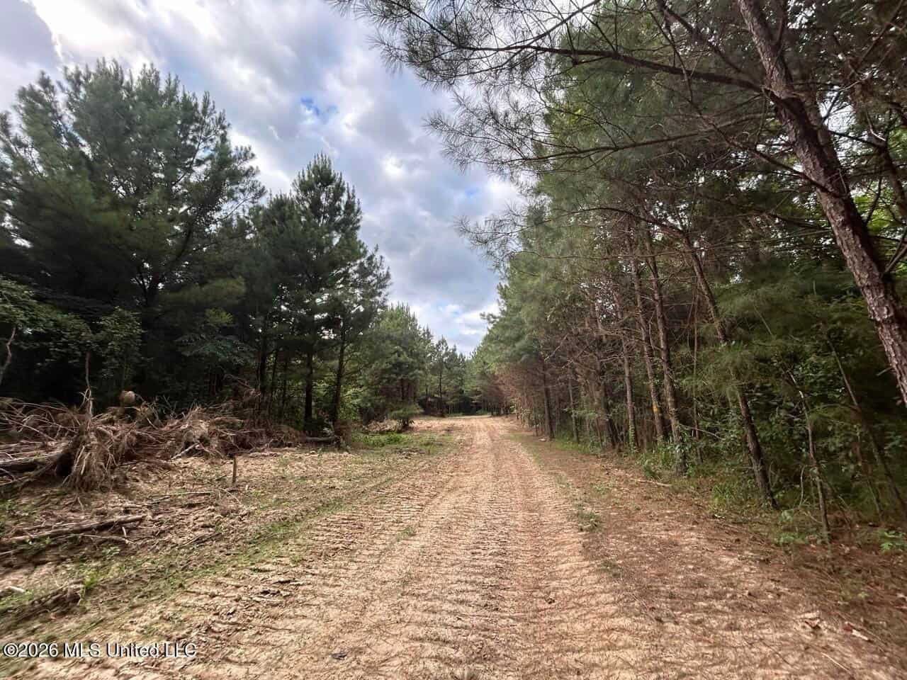 82± Acre Hunting Tract in Meadville, MS