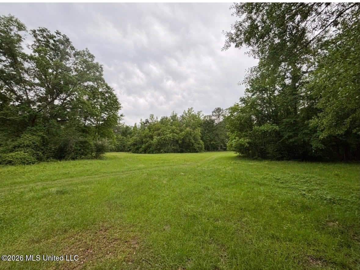 150 Acres for Sale in Magnolia MS on Tangipahoa River