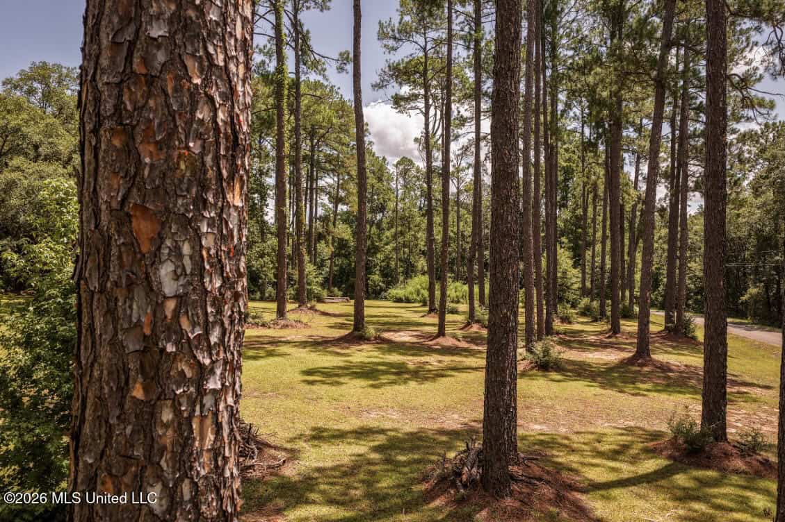20 Acres for Sale Magnolia MS with Barn & Mature Timber