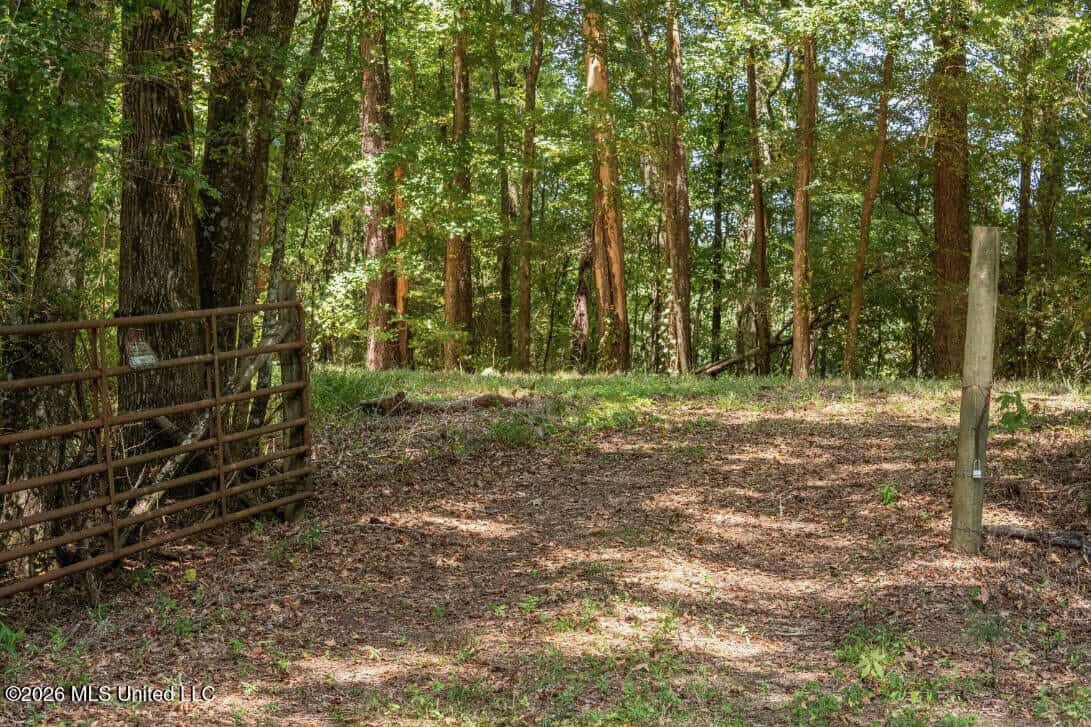 52.25± Acres in Copiah County, MS Near Hazlehurst