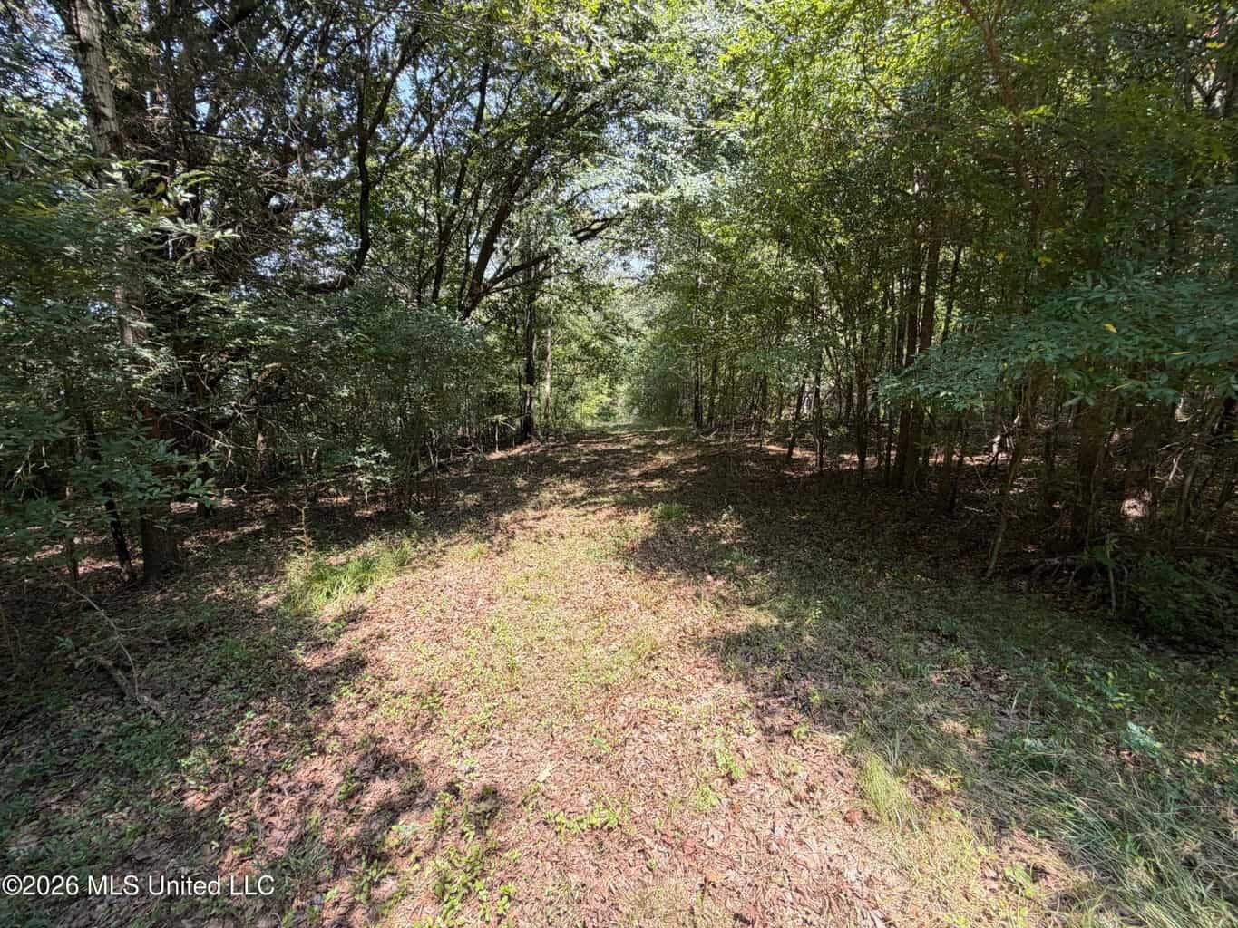 81-Acre Timber Property on 20-Acre Lake in Vaughan, MS