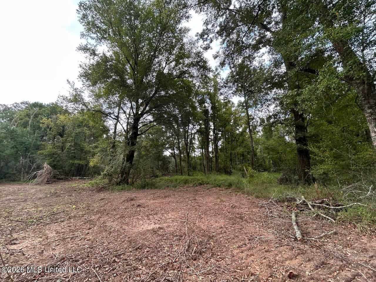 82± Acre Hunting Property in Wilkinson County, MS
