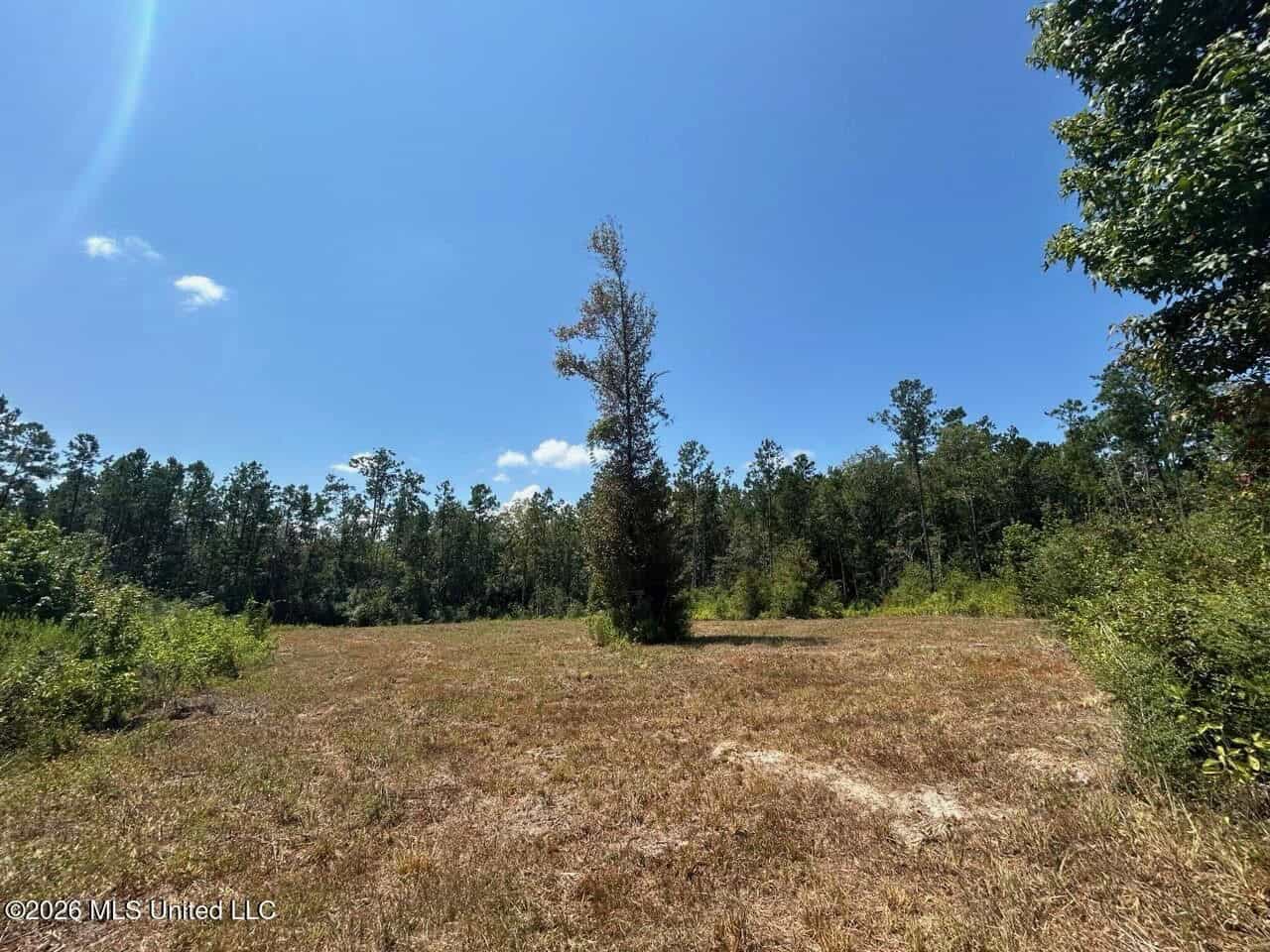 147± Acre Hunting Property in Plainview, LA