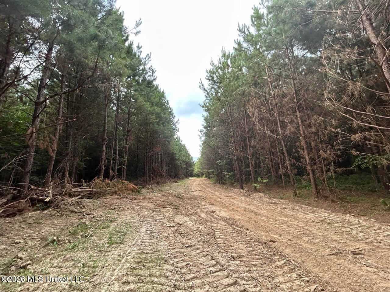 82± Acre Hunting Tract in Meadville, MS