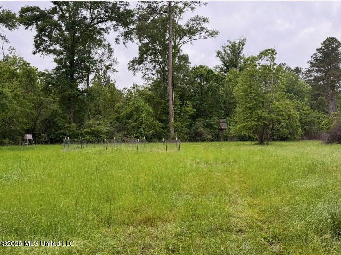 150 Acres for Sale in Magnolia MS on Tangipahoa River