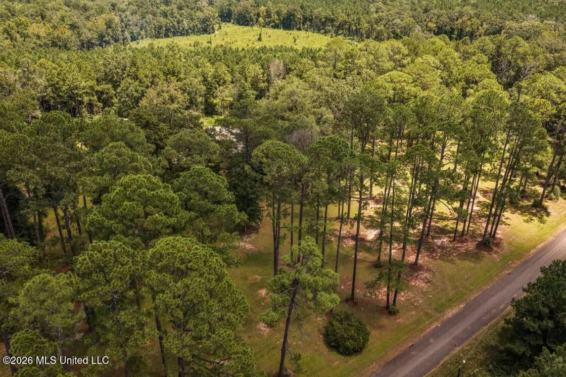 20 Acres for Sale Magnolia MS with Barn & Mature Timber