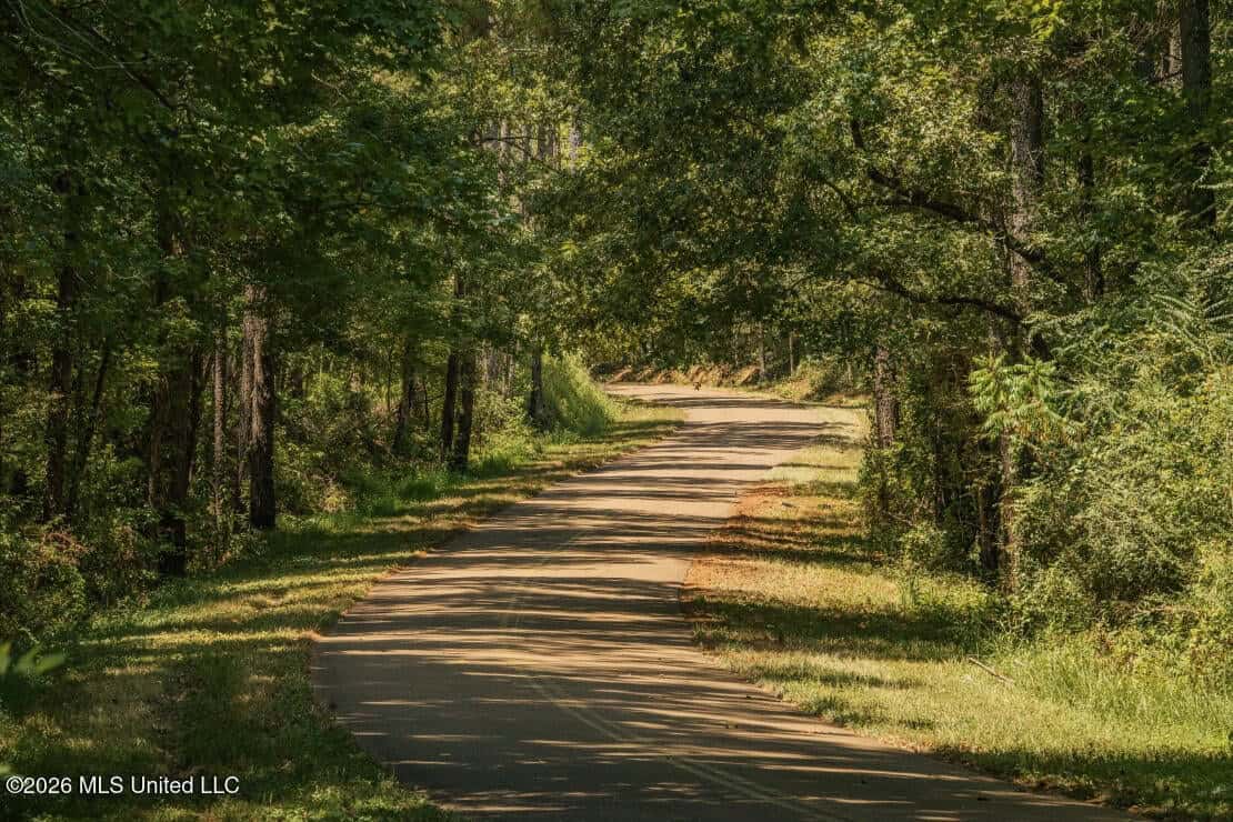 52.25± Acres in Copiah County, MS Near Hazlehurst