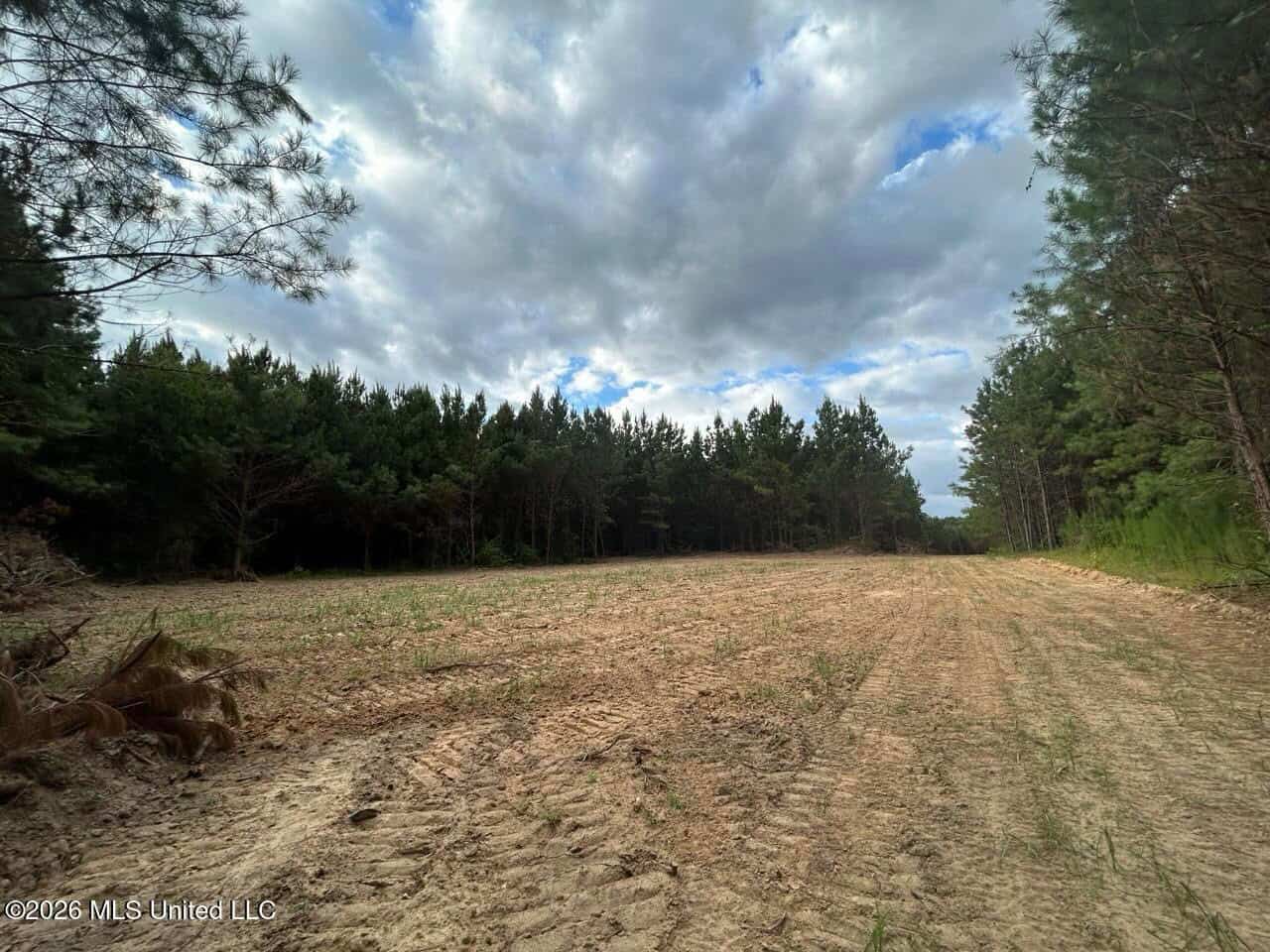 82± Acre Hunting Tract in Meadville, MS