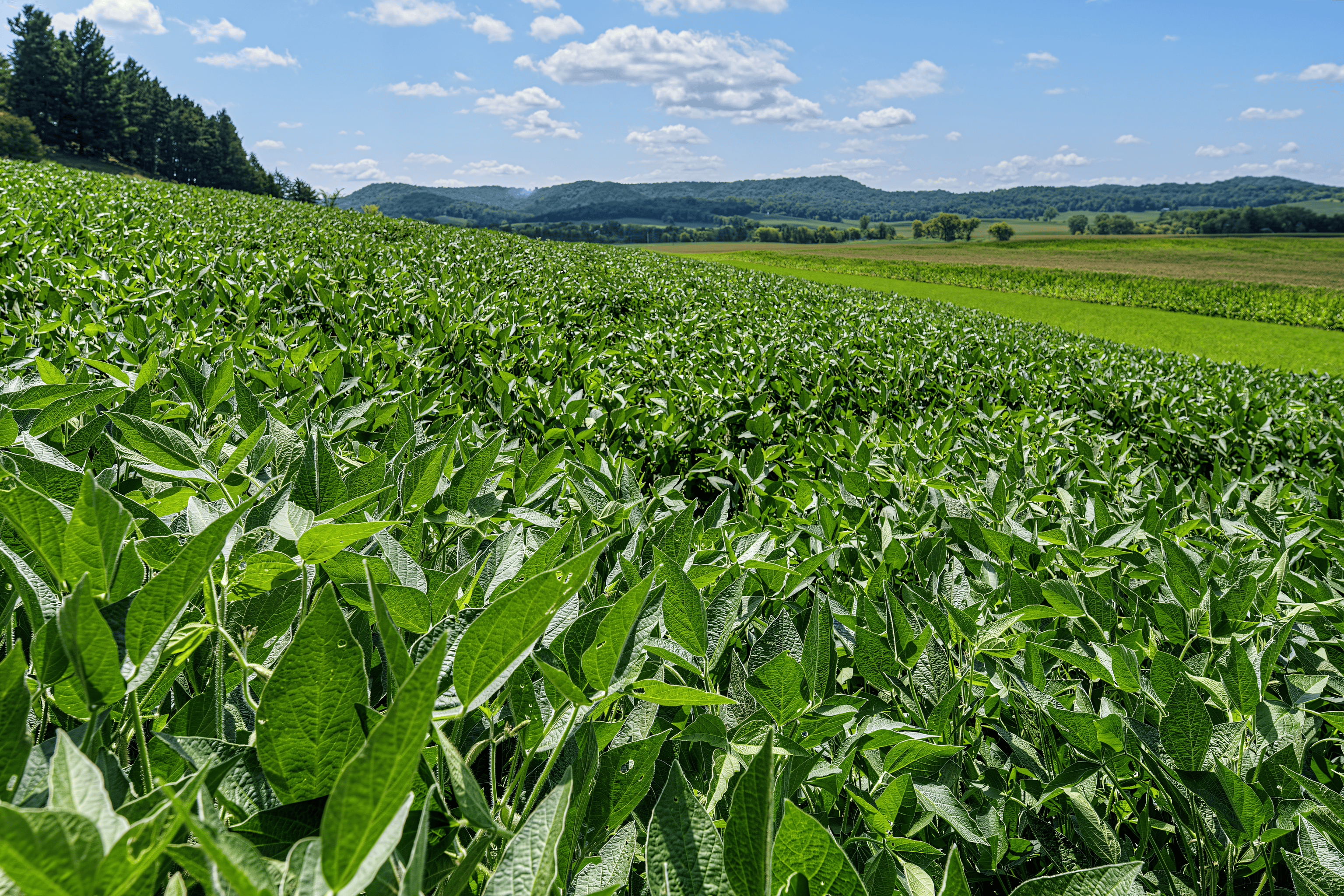 76-ACRE DRIFTLESS AREA FARM & COUNTRY ESTATE LA CROSSE COUNTY, WISCONSIN