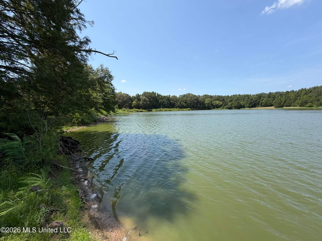 81-Acre Timber Property on 20-Acre Lake in Vaughan, MS