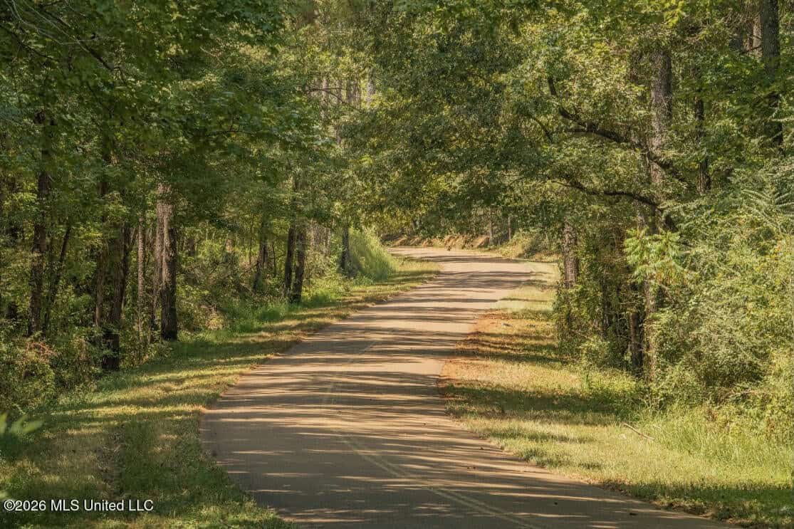 52.25± Acres in Copiah County, MS Near Hazlehurst