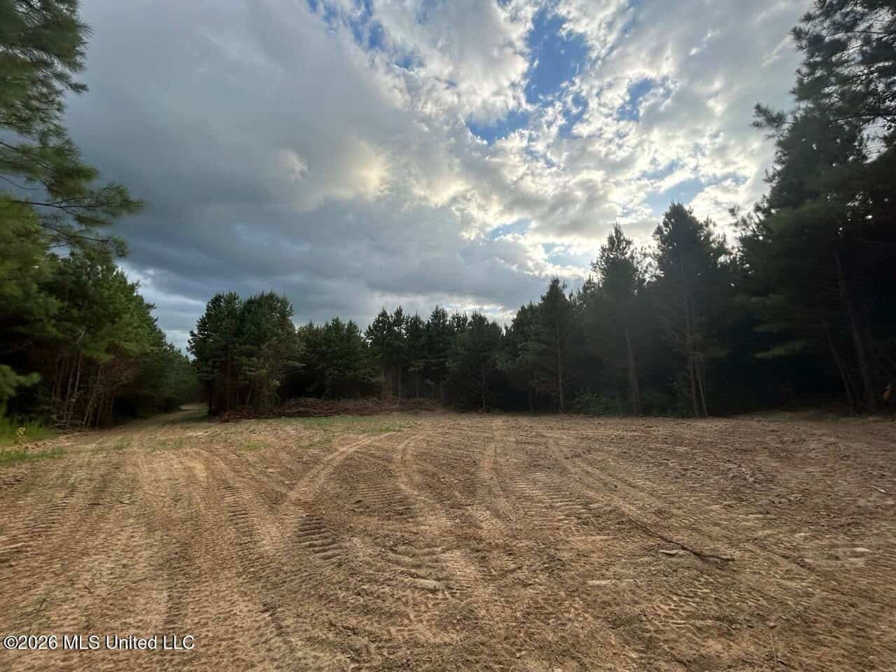 82± Acre Hunting Tract in Meadville, MS
