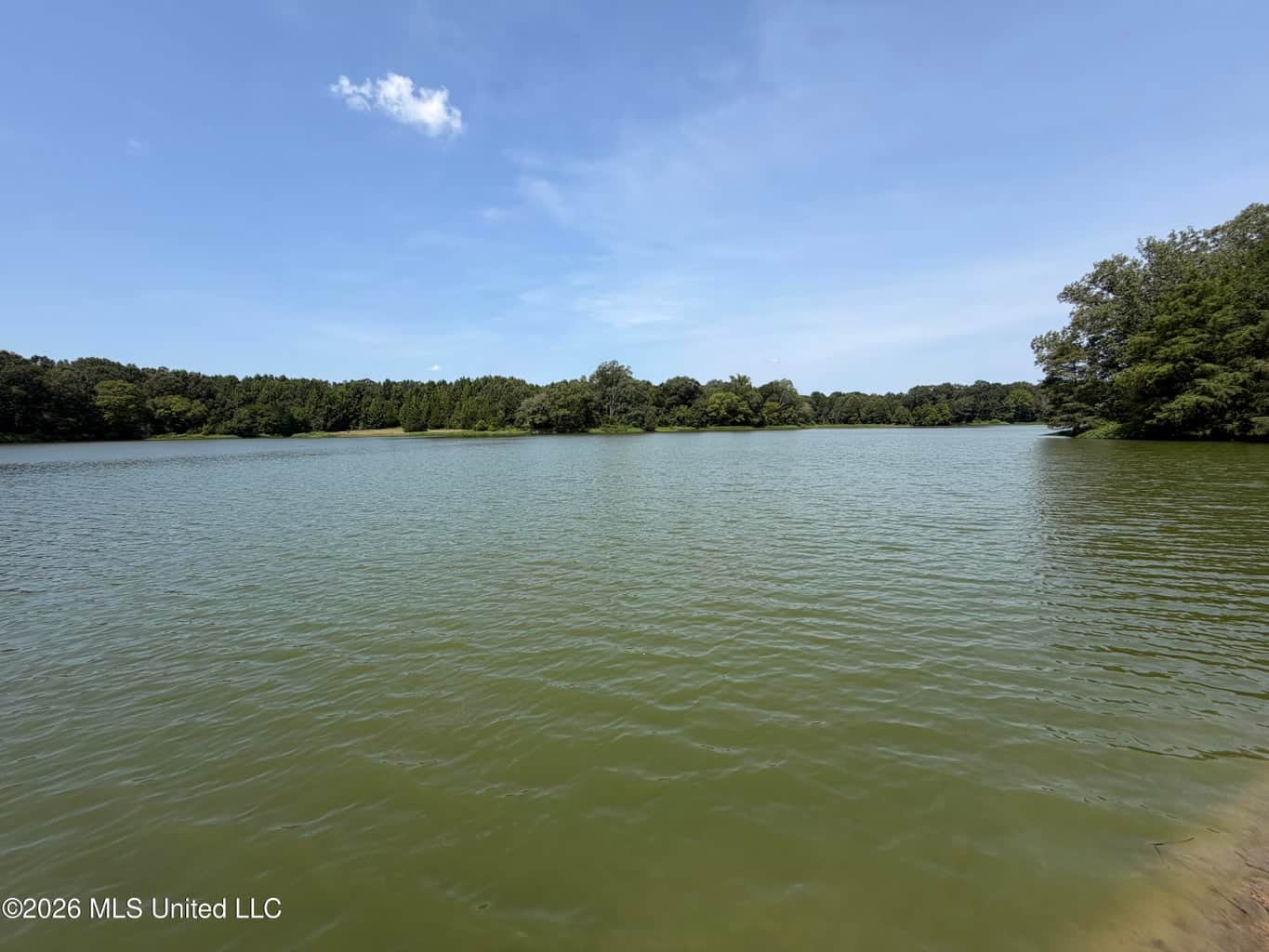 81-Acre Timber Property on 20-Acre Lake in Vaughan, MS