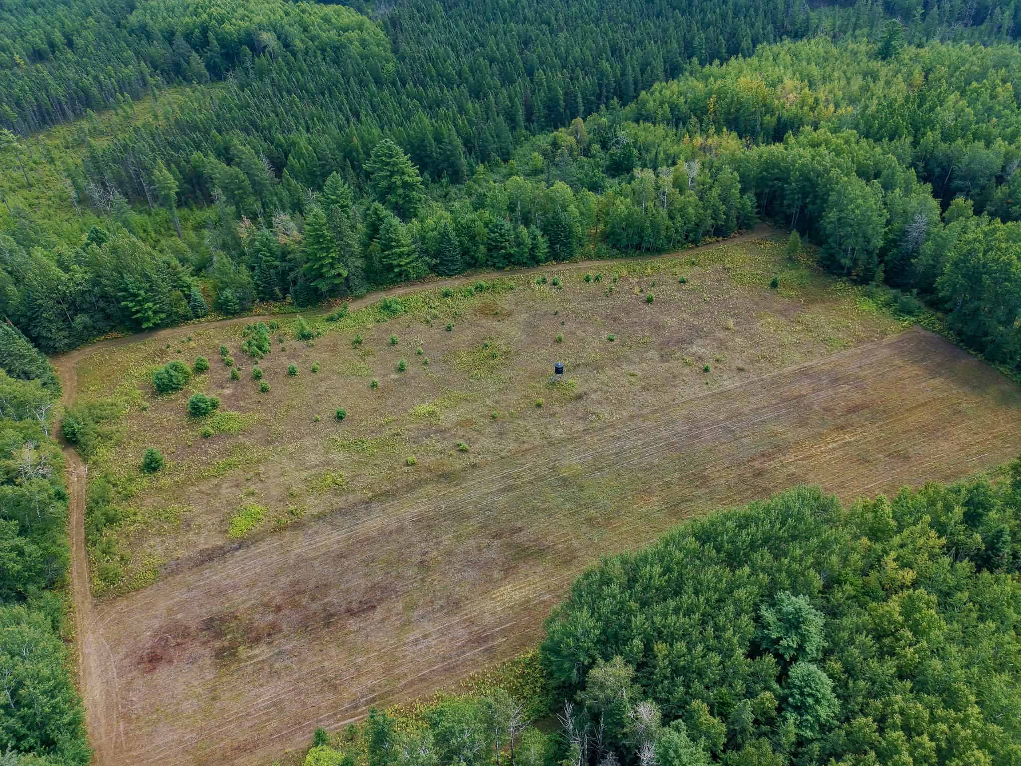 362 ± Acre Northwoods Property with Private Lake Shirley, WI