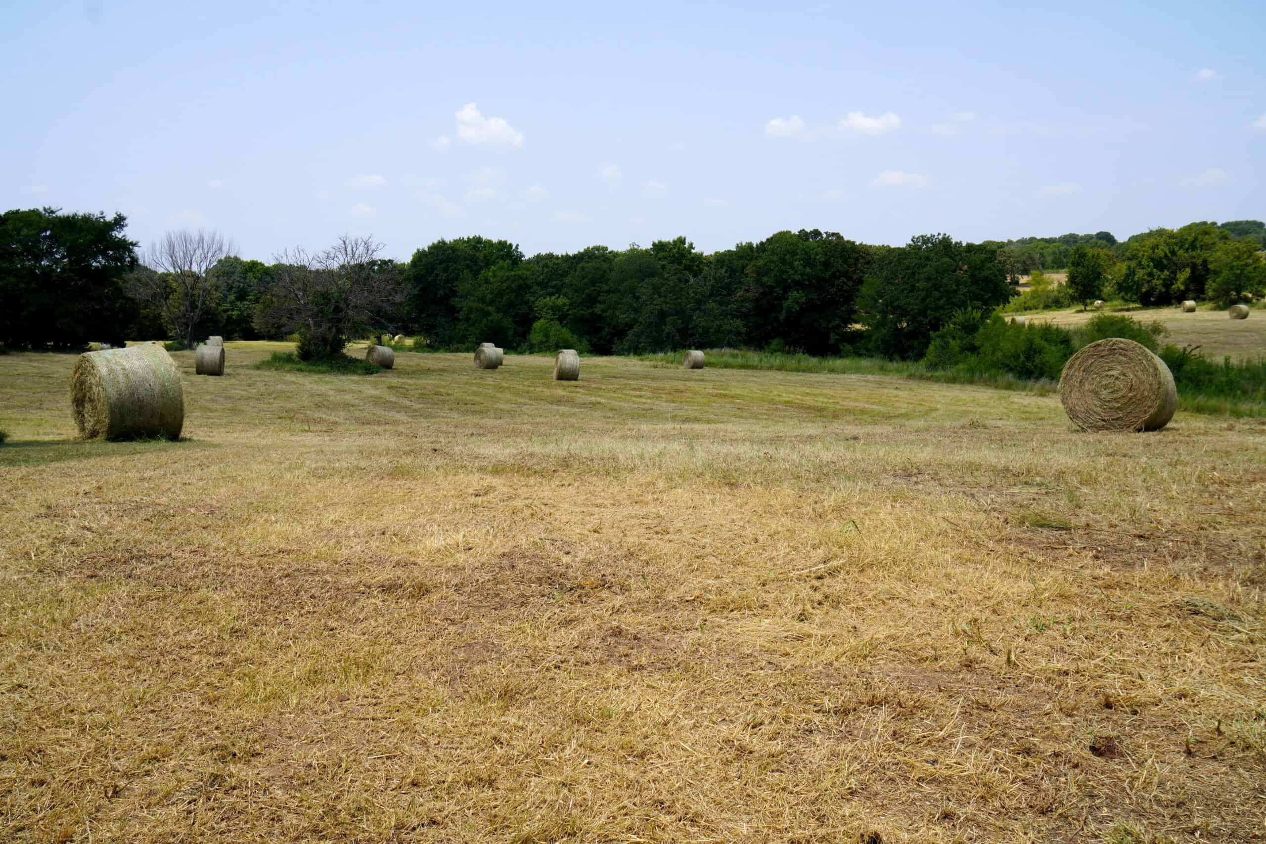 Rural Okfuskee County, OK Real Estate Auction Home & 40 Ac+/-