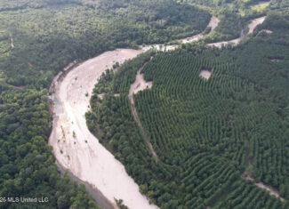 82± Acre Hunting Tract in Meadville, MS