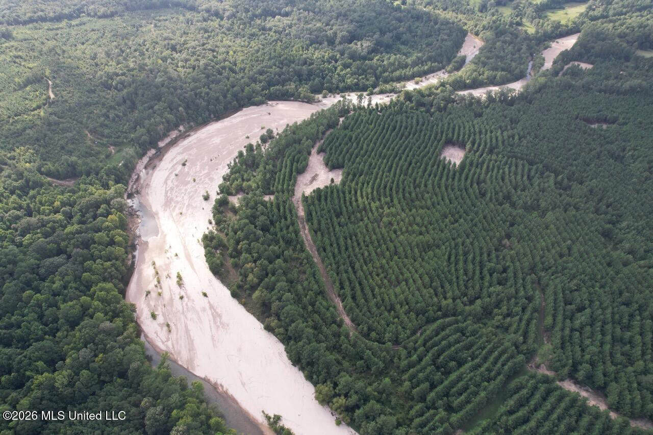 82± Acre Hunting Tract in Meadville, MS