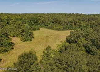 52.25± Acres in Copiah County, MS Near Hazlehurst