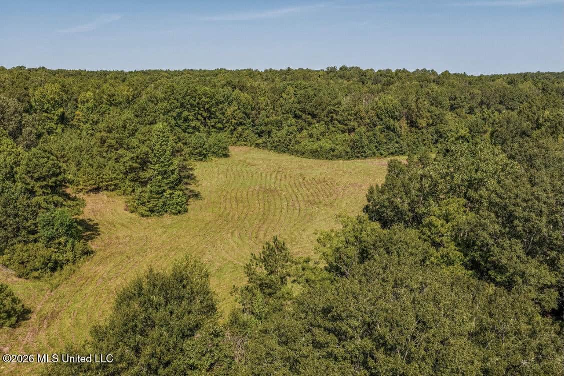 52.25± Acres in Copiah County, MS Near Hazlehurst