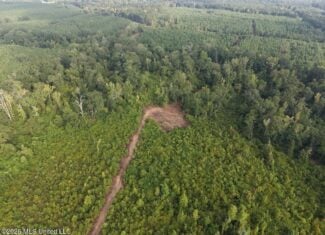 82± Acre Hunting Property in Wilkinson County, MS