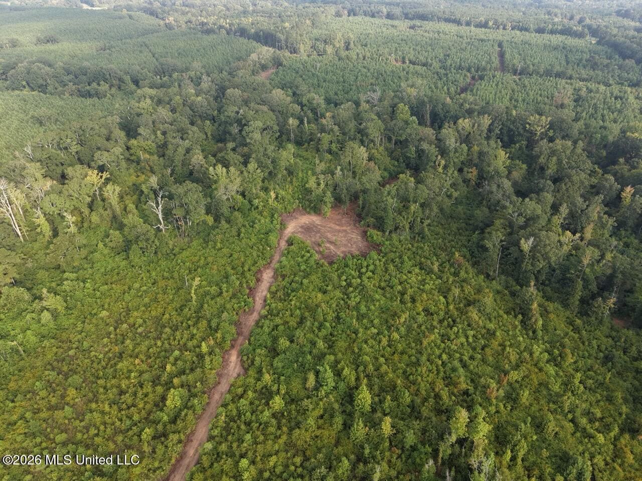 82± Acre Hunting Property in Wilkinson County, MS