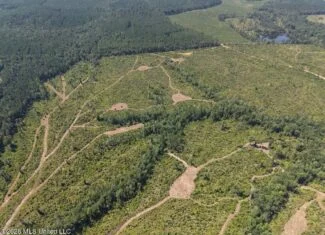 147± Acre Hunting Property in Plainview, LA