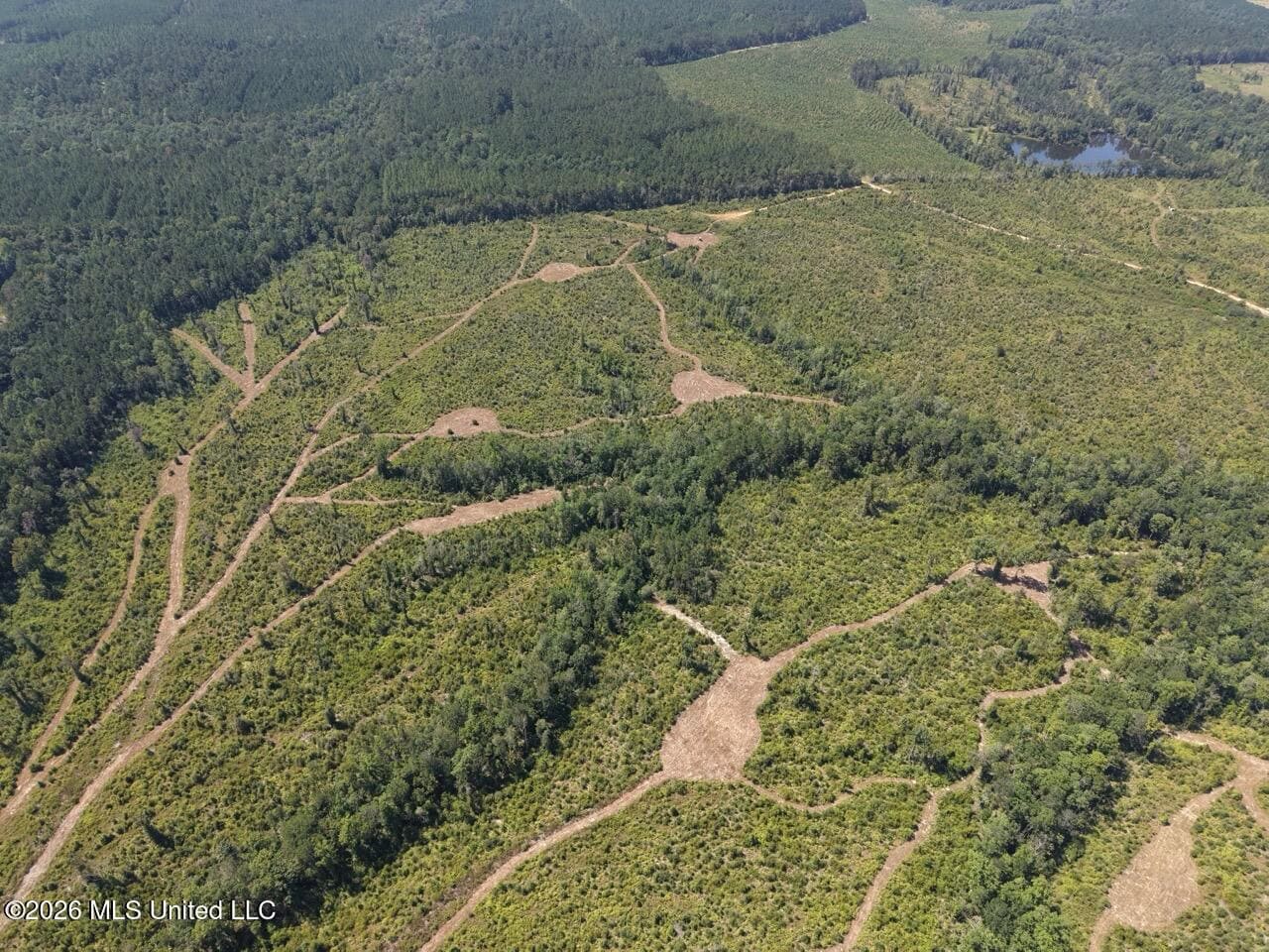 147± Acre Hunting Property in Plainview, LA