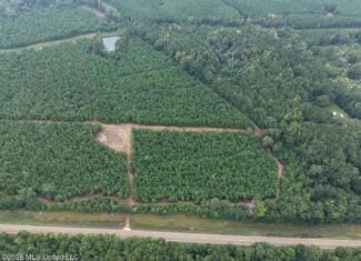 53± Acre Hunting Property Near Centreville, MS