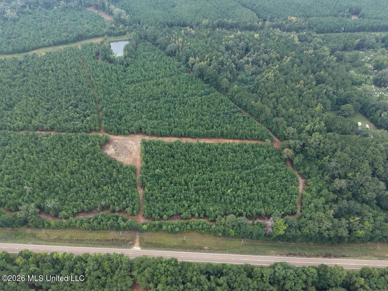 53± Acre Hunting Property Near Centreville, MS