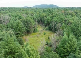 Rare opportunity to own 17.54 wooded acres within the City of Adams